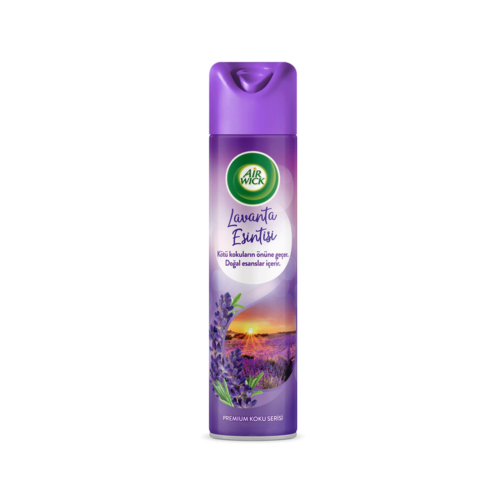 JetResim - 31500140-7495e5-1650x1650 - 2026-01-19