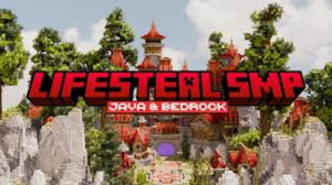 JetResim - lifestealsmp - 2026-02-07