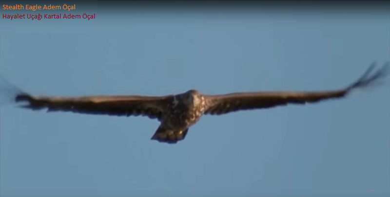 JetResim - Stealth Eagle Adem Öçal - 2026-04-10