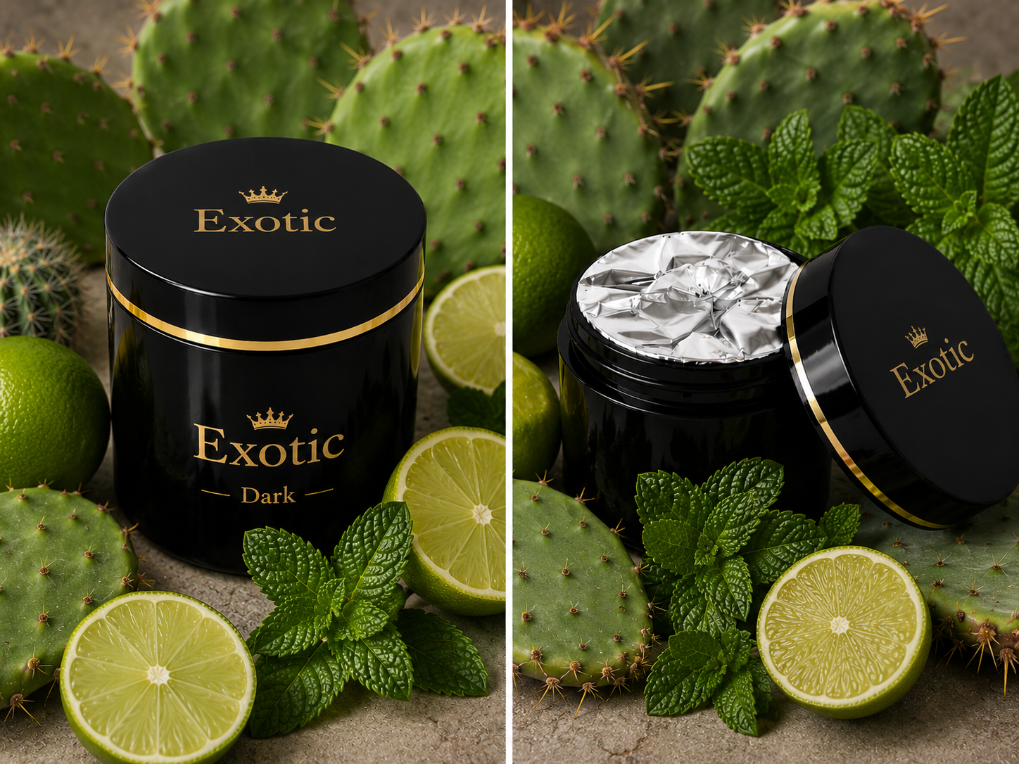 JetResim - exotic - 2026-05-13