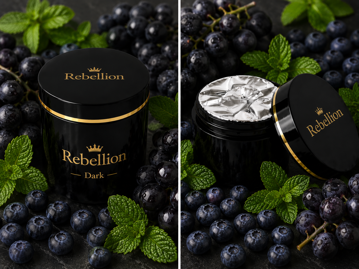 JetResim - rebellion - 2026-05-13